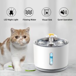 Vandens fontanas katėms, kačių gertuvė, katinų girdyklos fontanai