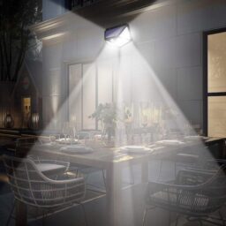 Lauko lempa su judesio davikliu