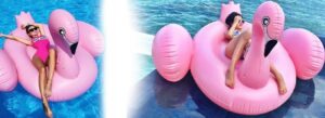 Didelis pripučiamas plaustas flamingas