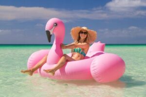 Didelis pripučiamas ratas flamingas