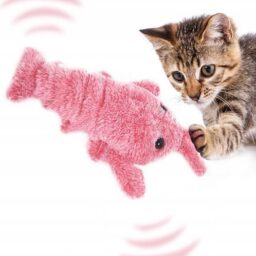 LobsterToy žaislas šunims ir kitiems augintiniams