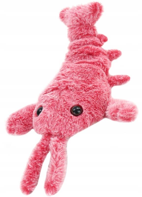 lobstertoy interaktyvus žaislas katėms