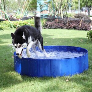 PawlyPool baseinas šunims