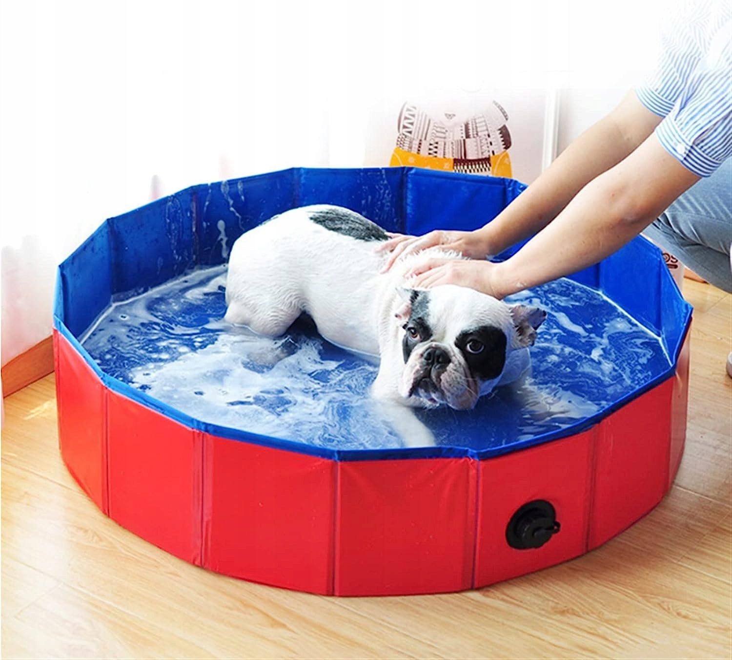 PawlyPool baseinas šunims
