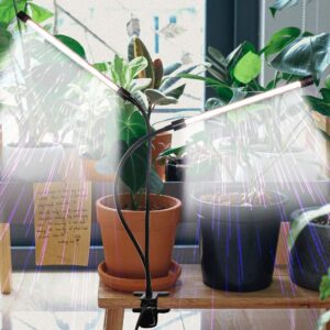 LED Lempa augalams