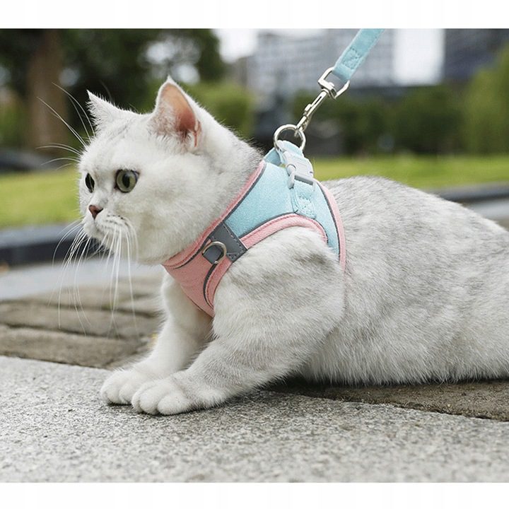 Reguliuojamų kačių diržų ir pavadėlių rinkinys pasivaikščiojimams | CATAROUND