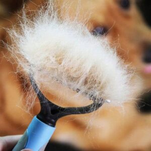 Dvipusis šepetys kailiui ir pūkeliams šalinti | DETANGLE