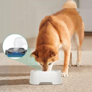 Šuns gėrimo dubuo NoSplashBowl šunims