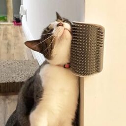 Savarankiško šukavimosi aparatas katėms (2 vnt.) | PURRCORNER