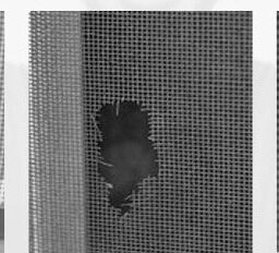 Remonto juosta ( 210cm ) | INSECTAPE