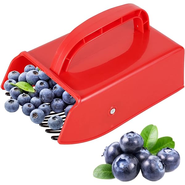 Fruvio – uogų rinkėjas