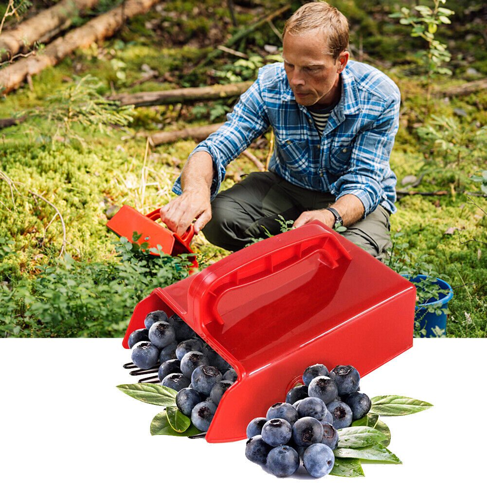 mėlynių šukos