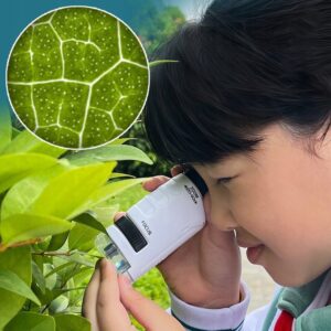 Nešiojamasis vaikiškas mikroskopas Microscope Kit