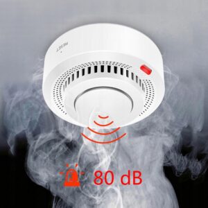 WiFi dūmų ir anglies monoksido (CO) detektorius su aliarmo funkcija