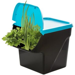 3-jų kibirėlių rinkinys daržovėms kaina internetu