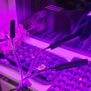 Augalų Auginimo Lempa 315LED kaina internetu