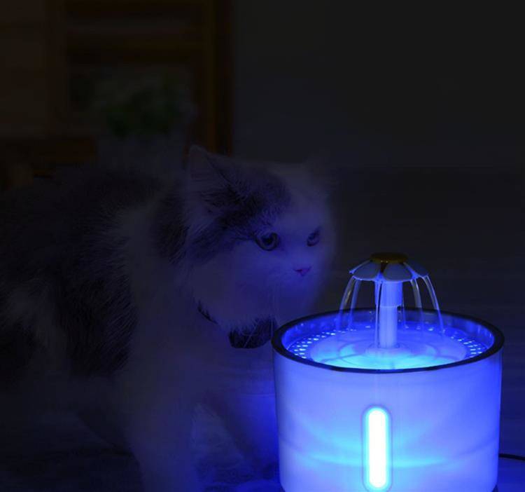 Automatinė girdykla naminiams gyvūnėliams kaina internetu