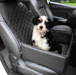 Automobilinė kėdutė augintiniui kaina internetu