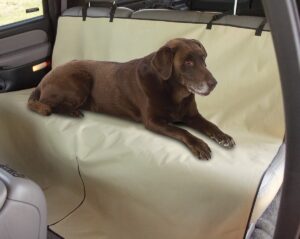 Automobilio galinės sėdynės užtiesalas "PetZoom Loungee" kaina internetu