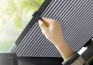 Automobilio Žaliuzės kaina internetu