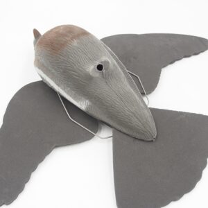 Balandžio imitacija kaina internetu