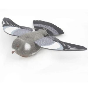 Balandžio imitacija kaina internetu