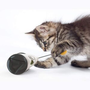 Balansinis žaislas katei kaina internetu