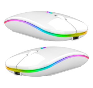 Belaidė Pelė Su RGB Apšvietimu kaina internetu