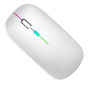 Belaidė Pelė Su RGB Apšvietimu kaina internetu