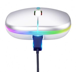 Belaidė Pelė Su RGB Apšvietimu kaina internetu