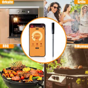 Belaidis BBQ termometras kaina internetu