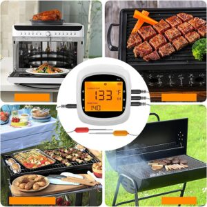 Belaidis BBQ Termometras "Easy BBQ Pro" kaina internetu