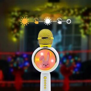 Belaidis karaoke mikrofonas kaina internetu