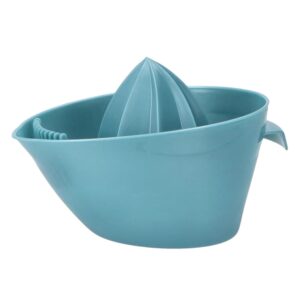 Citrusinių vaisių sulčiaspaudė su sieteliu kaina internetu