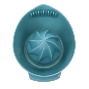 Citrusinių vaisių sulčiaspaudė su sieteliu kaina internetu