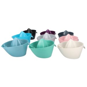 Citrusinių vaisių sulčiaspaudė su sieteliu kaina internetu