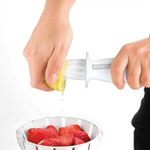 Citrusinių vaisių sulčiaspaudė su tarka kaina internetu
