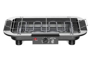 Elektrinė kepsninė kaina internetu