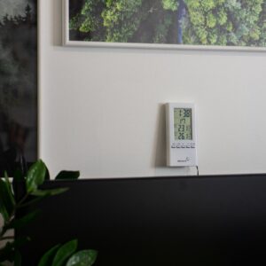 Elektrinis termometras kaina internetu