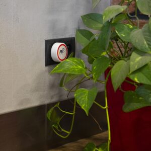 Elektrinis vorų atbaidymo prietaisas kaina internetu