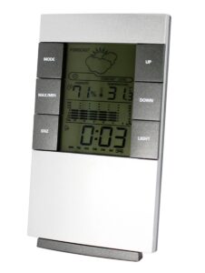 Elektroninis termometras namams kaina internetu