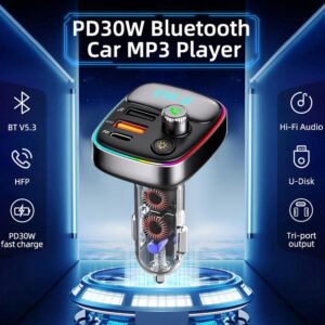 FM moduliatorius 36W kaina internetu