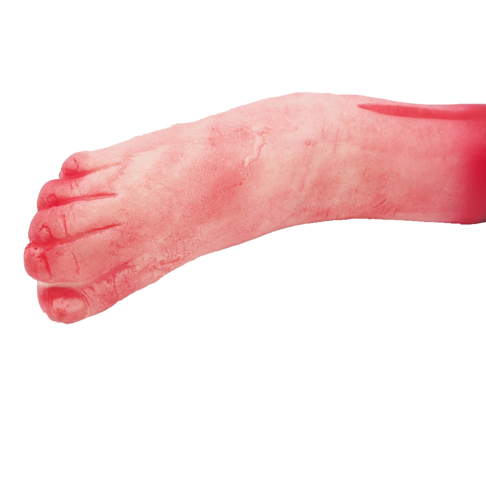 Helovino dekoracija "Koja" kaina internetu