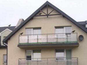 Imitacija varnos (varna) kaina internetu