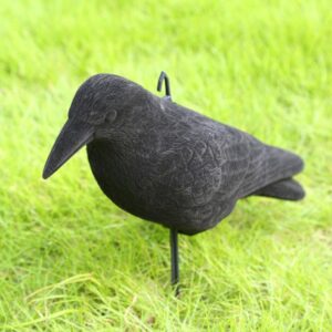 Imitacija varnos (varna) kaina internetu