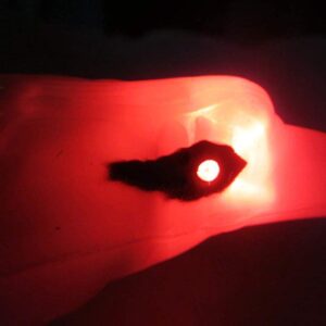 Judančio erelio imitacija kaina internetu