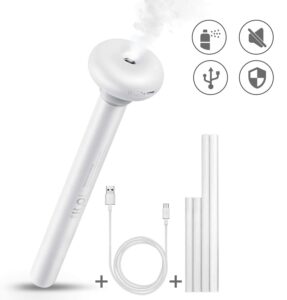 Kelioninis oro drėkintuvas kaina internetu