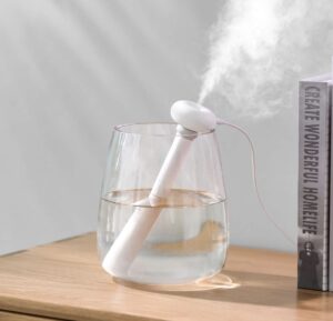 Kelioninis oro drėkintuvas kaina internetu