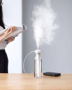 Kelioninis oro drėkintuvas kaina internetu