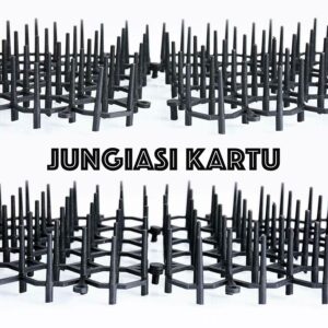 Kilimėlis su spygliais apsaugai nuo gyvūnų kaina internetu